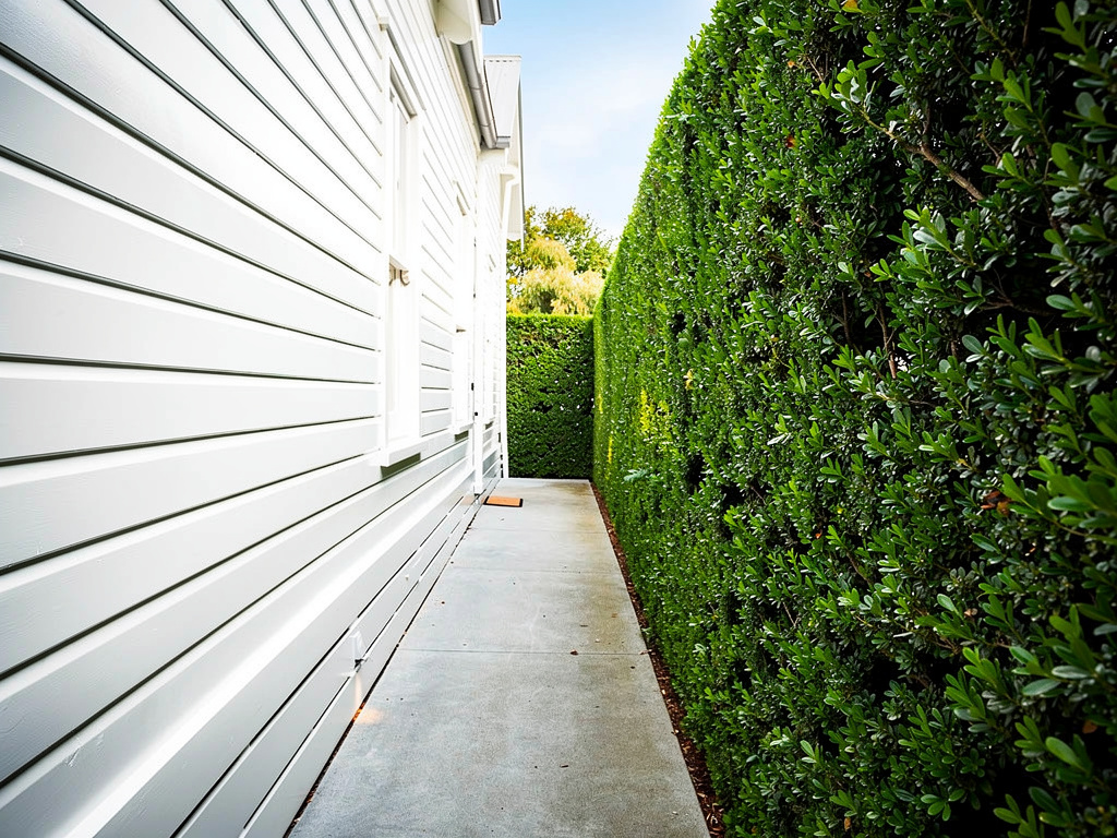 Freshly painted white weatherboard exterior in Melbourne with crisp clean finish